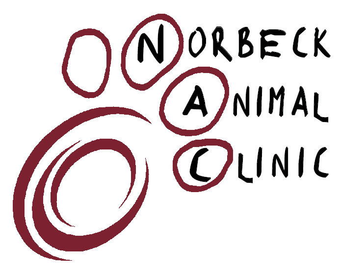 Norbeck Animal Clinic